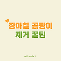 장마철 곰팡이 없애는 법｜곰팡이 제거제부터 제습 꿀팁까지 총정리!