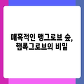 매혹적인 맹그로브 숲, 햄록그로브의 비밀