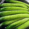 오이(Cucumber)의 효능, 성분, 섭취시 신체 변화, 치료 질병, …