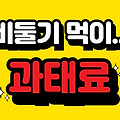 서울시, 비둘기 먹이주기 과태료 100만원… 알고계신가요???