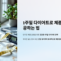 1주일 다이어트로 체중 감량 성공하는 법 – 효과적인 전략