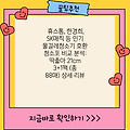 휴스톰, 한경희, SK매직 등 인기 물걸레청소기 호환 청소포 비교 분석: 딱좋아 21cm 3+1팩 (총 88매) 상세 리뷰