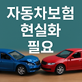 자동차보험 경상환자 부상보험금 현실화 필요성 및 개선 방안