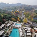 서울 신라호텔 호캉스 (신라호텔 평일 디럭스 더블)