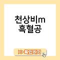 천상비m 방어구옵션 인벤 공식카페 ios 흑혈공