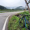 2021.8.21 명도리 임도 (호월1리-정림2리) - 정림리 - 호월리