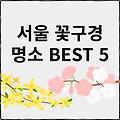 서울 벚꽃 명소 BEST 5: 올해 봄, 당신이 놓칠 수 없는 최고의 명소는?(꽃구경)