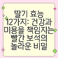 딸기 효능 12가지: 건강과 미용을 책임지는 빨간 보석의 놀라운 비밀