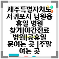 제주특별자치도 서귀포시 남원읍 휴일 병원 찾기|야간진료 병원|공휴일 문여는 곳 |주말 여는 곳