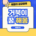 거북이 꿈, 자라 꿈 해몽 [거북이 보는 꿈, 거북이랑 수영하는 꿈 등]