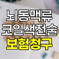 뇌동맥류 코일색전술 보험청구 핵심정보