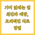 기미 없애는 법 원인과 예방, 효과적인 치료 방법
