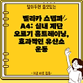 벨리카 스텝퍼 A4: 실내 계단 오르기 홈트레이닝, 효과적인 유산소 운동