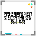 회전근개파열이란? 회전근개파열 증상 증세 특징