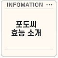 포도씨의 놀라운 효능과 섭취 방법은?