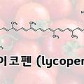 라이코펜이란? 하루 토마토 1개로 위암, 전립선암 예방