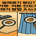 알레르기 원인? 카펫·커튼 진드기 제거 방법 A to Z