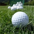 파크골프티의 선택과 관리로 경기 효율을 높이는 방법