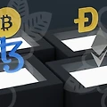 신촌필러와 함께하는 피부 관리의 새로운 트렌드