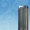 심리상담과 독서논술지도사: 자격증으로 새로운 길 열기