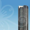 2024년, 자동차 랩핑의 새로운 트렌드: 인천에서 시작하세요!