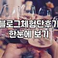 다이어트 보조제 체험단인가 싶어서 신청했다가 묘한 기분만 남았다