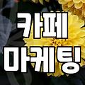 네이버 파워링크, 과연 ‘돈 먹는 하마’인가? 현실적인 광고 집행 후기