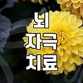 DEEPTMS, 정말 우울증 치료 효과 있을까?