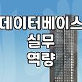 sqld 자격증 가치와 실무에서 평가받는 데이터 역량 수준