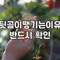 뒷골이 뻐근해서 한의원에 갔다가 엉뚱한 이야기만 하고 왔다