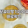 김포정신병원이나 상담 센터를 고민하기 전, 현실적인 조언