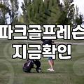 스크린 파크골프, 무작정 시작하기 전에 알아야 할 솔직한 현실