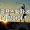 개인골프연습장 설치 비용과 공간 확보의 현실적인 기준