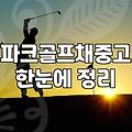 피닉스파크골프채 중고 고민과 입문의 현실적인 문턱