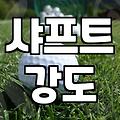 입문자가 후회 없는 골프용품세트 구성을 위해 꼭 따져봐야 할 조건