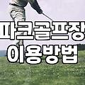 파크골프 시작하려는 분들이 알아두면 좋은 현실적인 조언