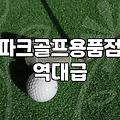 파크골프채파는곳 방문 전에 꼭 알아야 할 확인 사항