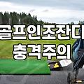 마당에 깔아본 골프인조잔디, 현실적인 설치 비용과 예상외의 관리 포인트