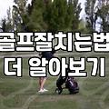 나도 드라이버 멀리 치고 싶다? 스크린골프 몇 번 치고 깨달은 현실적인 조언