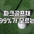 파크골프채를 고르다가 유튜브 영상만 세 시간째 보고 있다