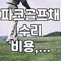 파크골프채, 망가지면 어떻게 해야 할까? 직접 수리 vs 전문가 의뢰, 현실적인 고민들
