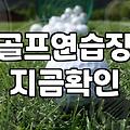 30대 직장인이 후회 없이 스크린골프레슨 선택하는 방법