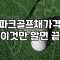 파크골프채여성용 선택 시 무게와 샤프트 강도가 결정하는 기준
