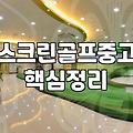 스크린 골프, 이걸 이렇게까지 해야 하나 싶었던 순간들