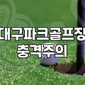 부모님 성화에 못 이겨 대구파크골프장에 따라갔다가 알게 된 것들