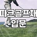 엄마의 갑작스러운 파크골프 입문기와 내 고민