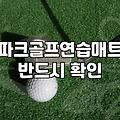 집에서 파크골프 감각 익히는 연습 매트 활용기