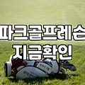 파크골프치는법 기초부터 실제 라운딩 규칙까지