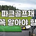 파크골프 채 선택 기준과 입문 비용