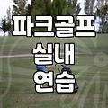 스크린 파크골프, 정말 괜찮을까? 직접 경험한 솔직 후기